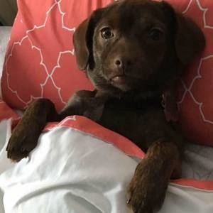 Meet your Posher, Melissa